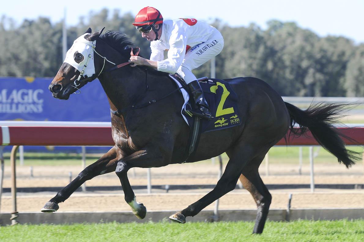 CURFEW - Another Dynamic Syndications Winner