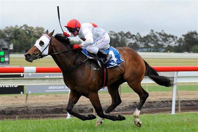 DREAM CHOICE - Seta a NEW TRACK RECORD at SCONE
