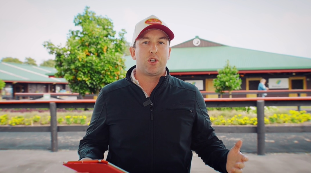 Savabeel x Smashing Colt